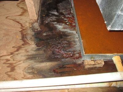 About Solid Rescue Network - water damage restoration experts in Portland