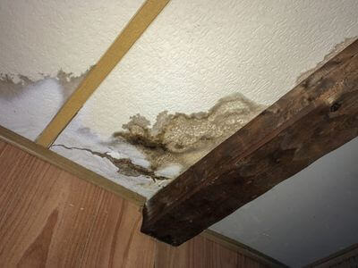 Professional water damage restoration services in Portland